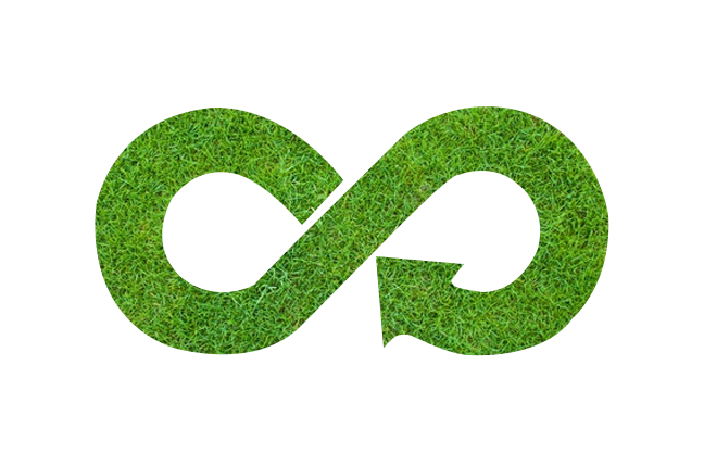 Odoo • Image and Text